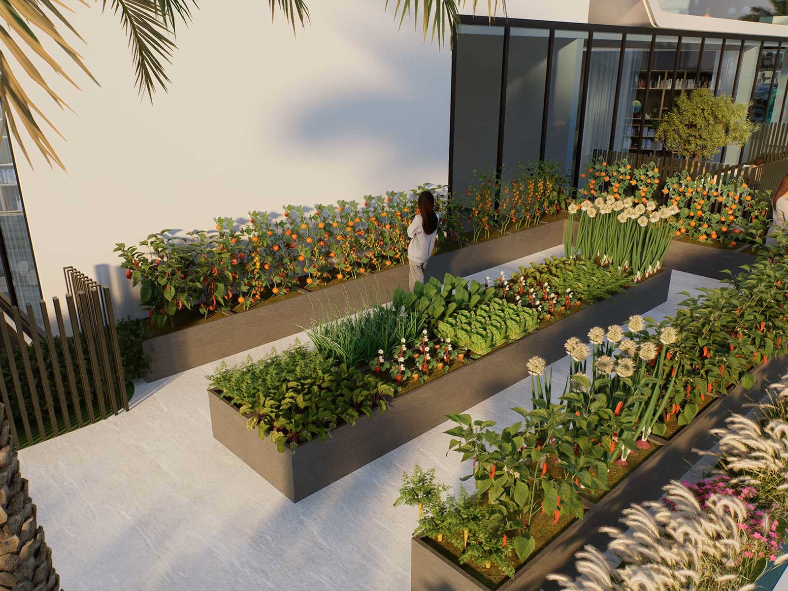 Vegetable Garden