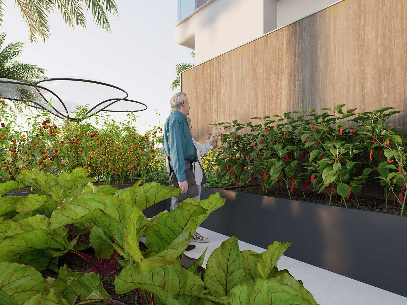Vegetable Garden