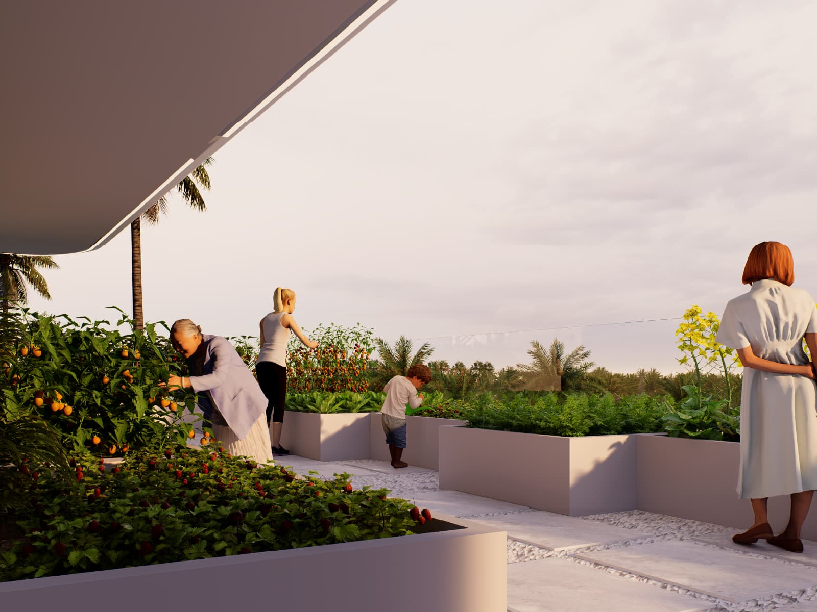 Vegetable Garden