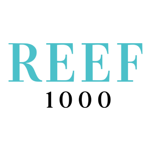 reef 100