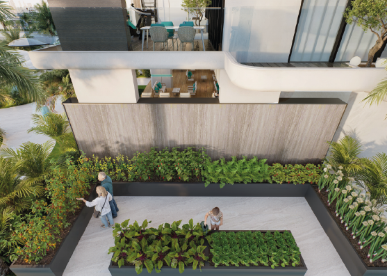 Veg Garden