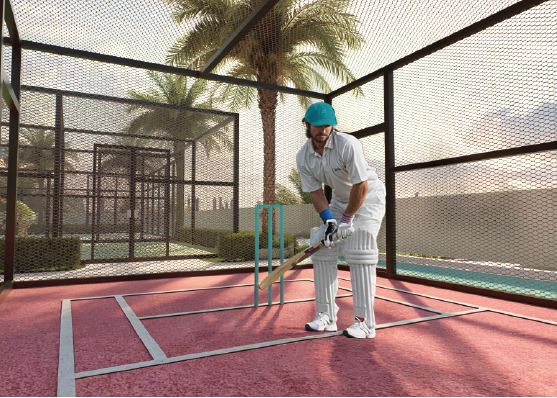 Cricket